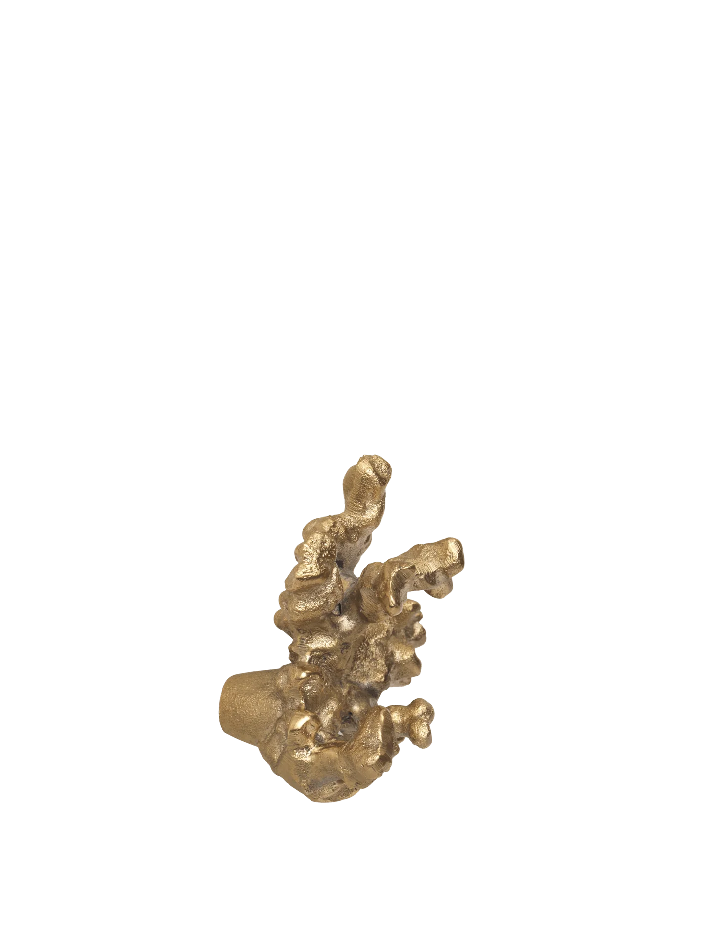 Comber Coral Branch Hook - Brass - Image 3