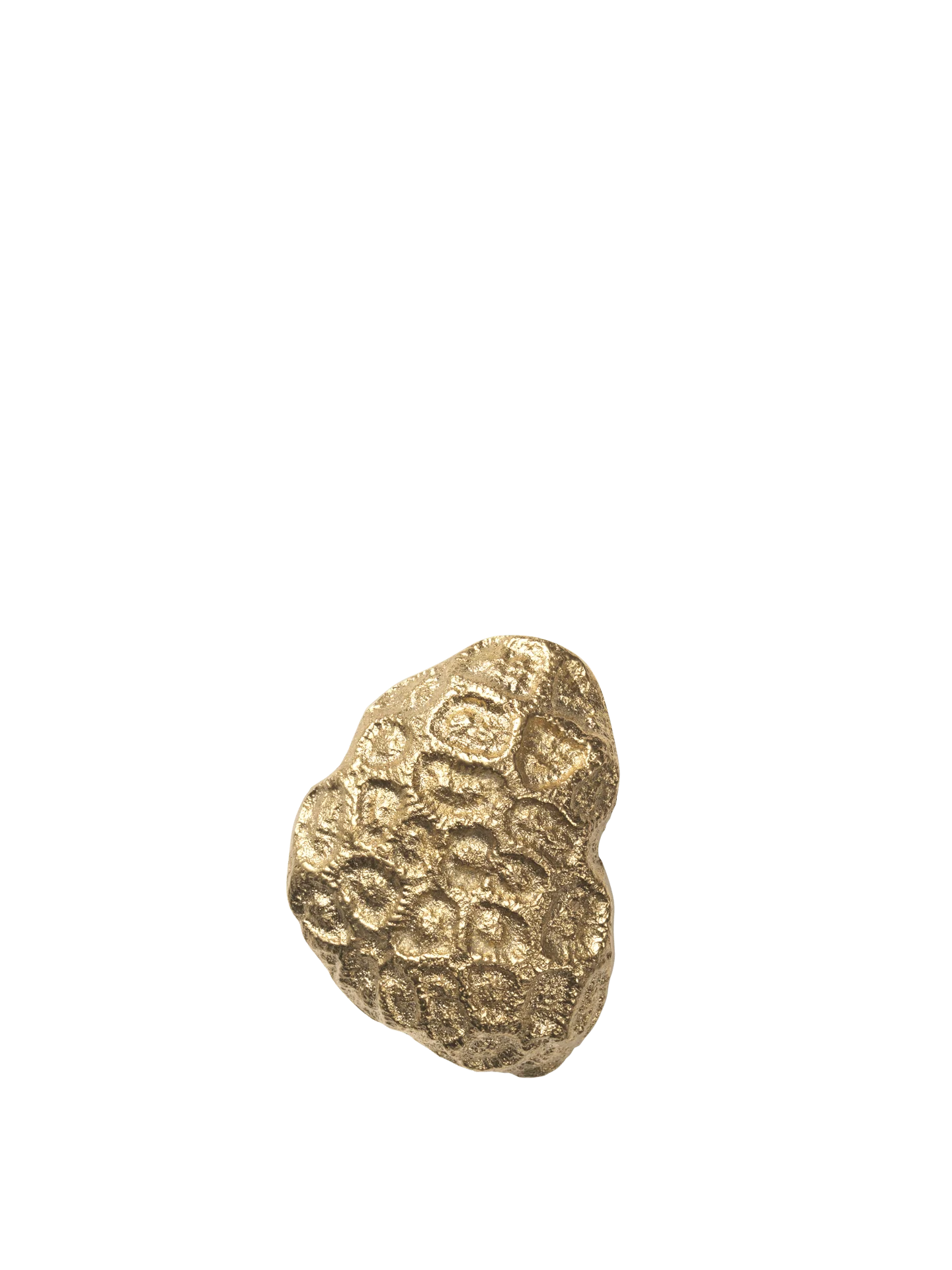 Comber Coral Hook - Brass