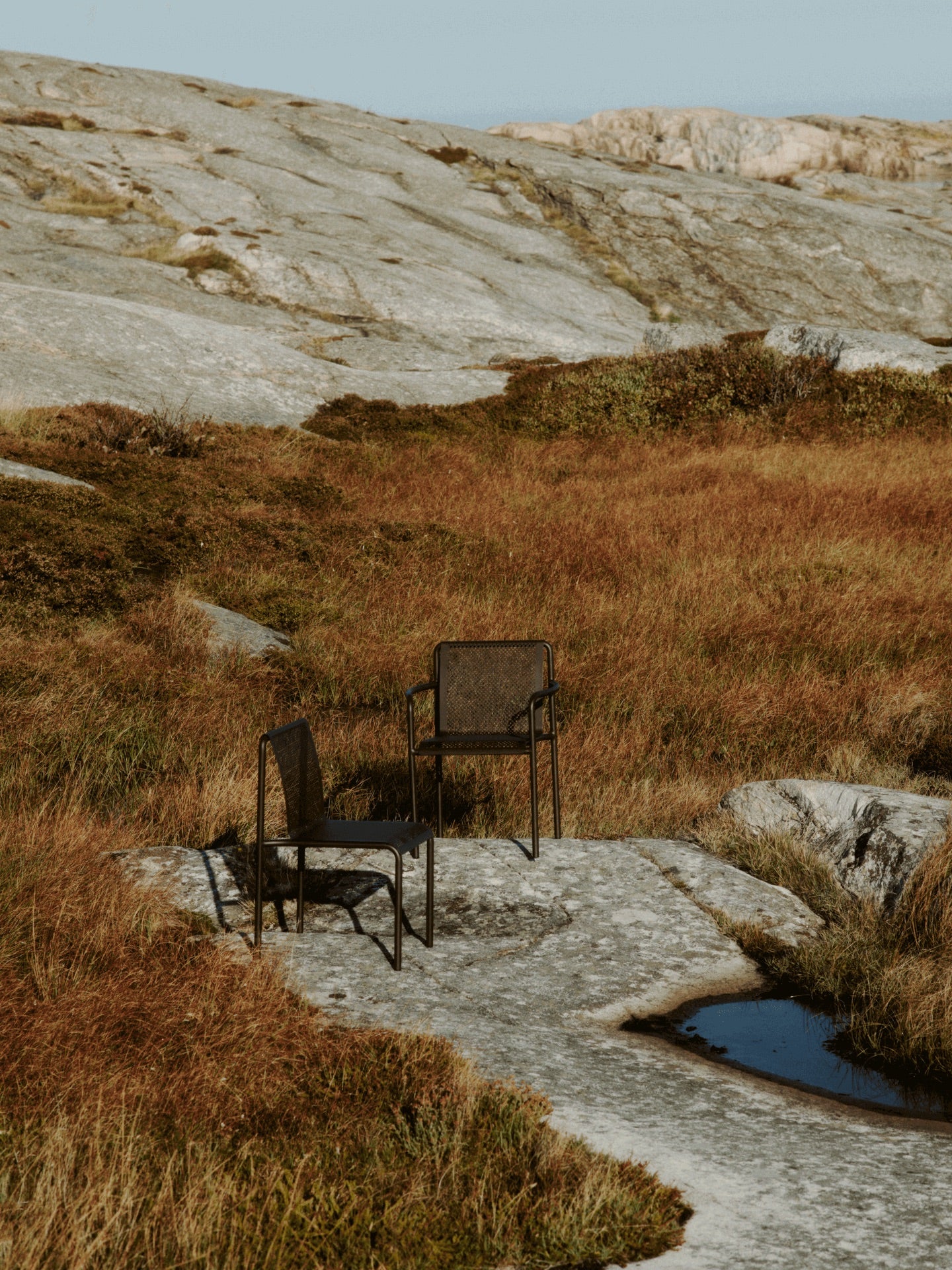 Dapple Chair with Arms - Dark Chocolate - Image 3