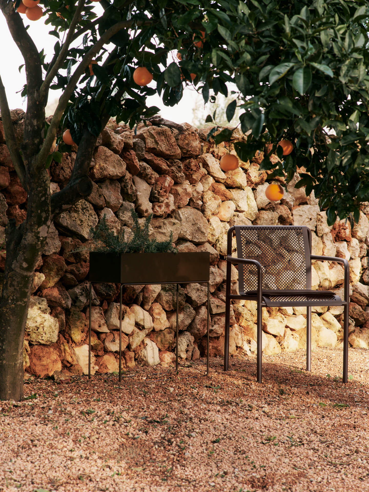 Dapple Chair with Arms - Dark Chocolate - Image 5