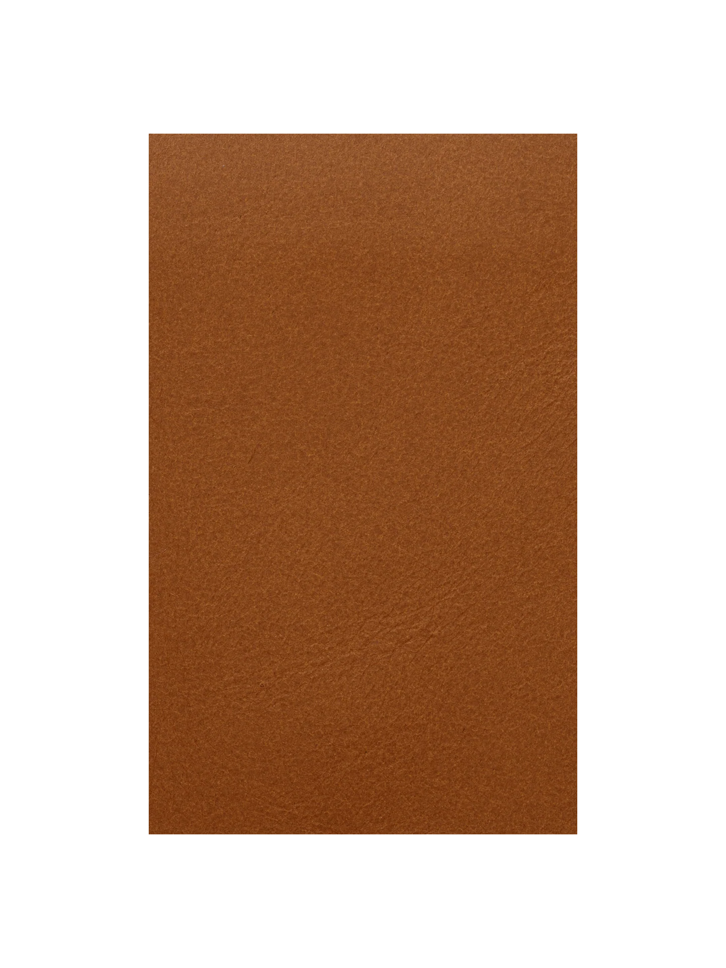 Fabric Sample - Leather - Envy - Cognac