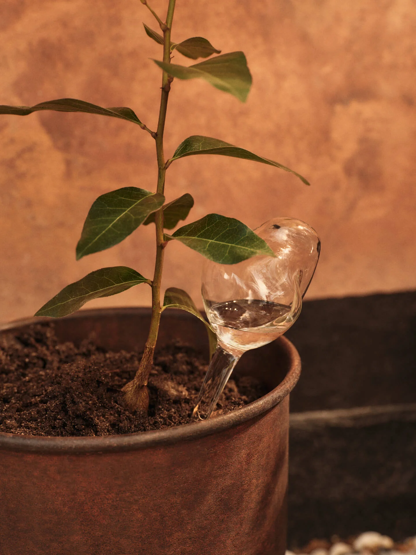 Mercury Water Globes - Small - Set of 2 - Clear - Image 2