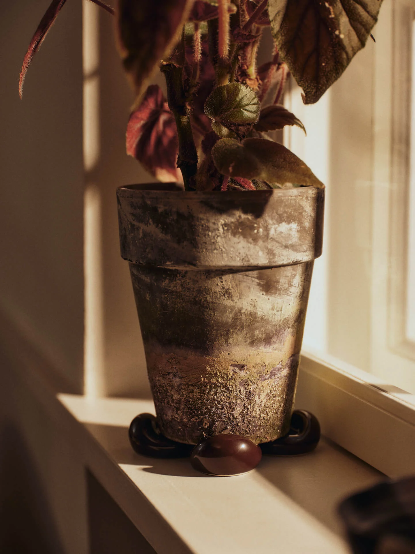 Nube Planter Feet - Set of 4 - Carob Brown - Image 2