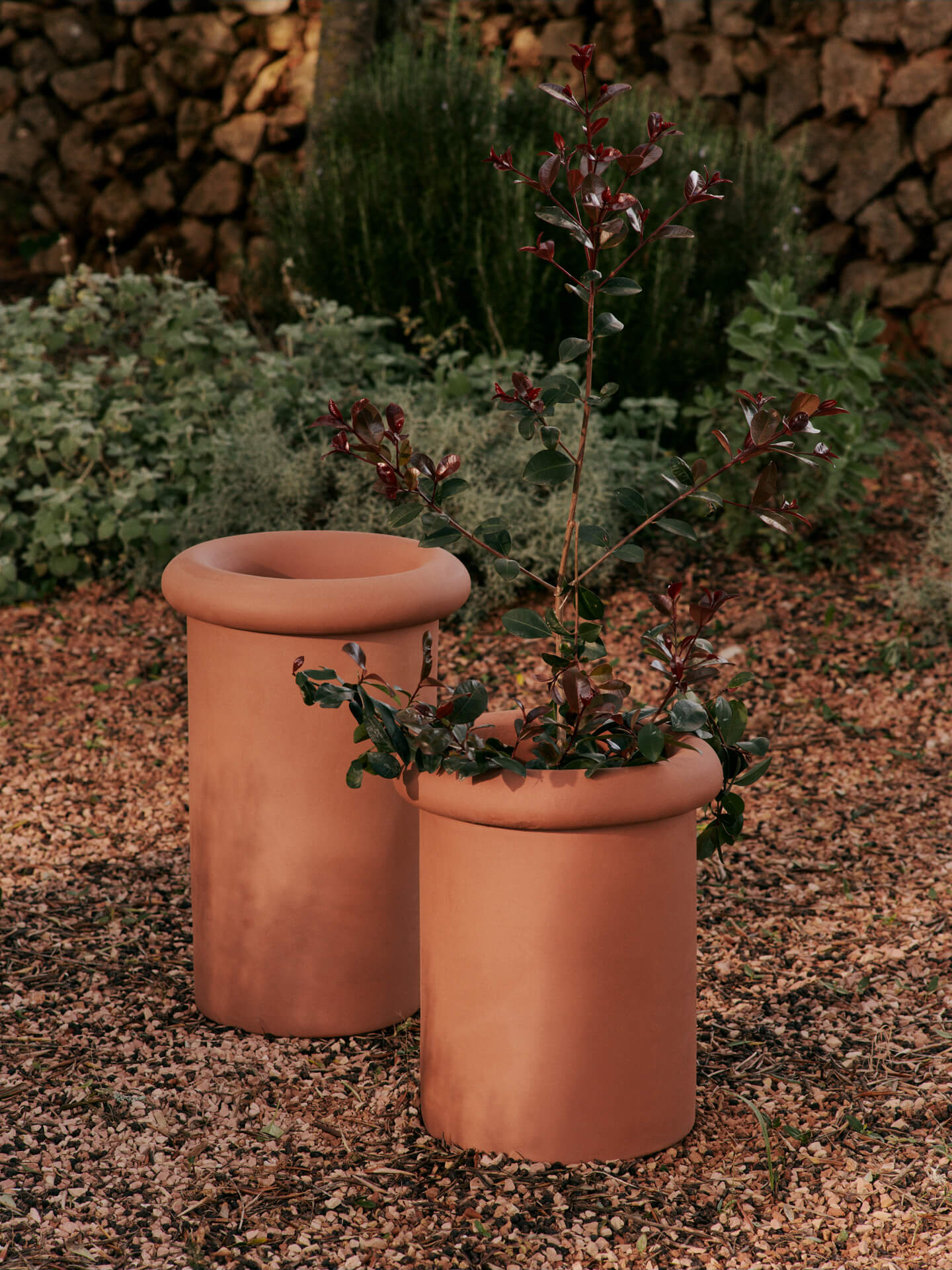 Rollo Pot - Large - Terracotta - Image 2