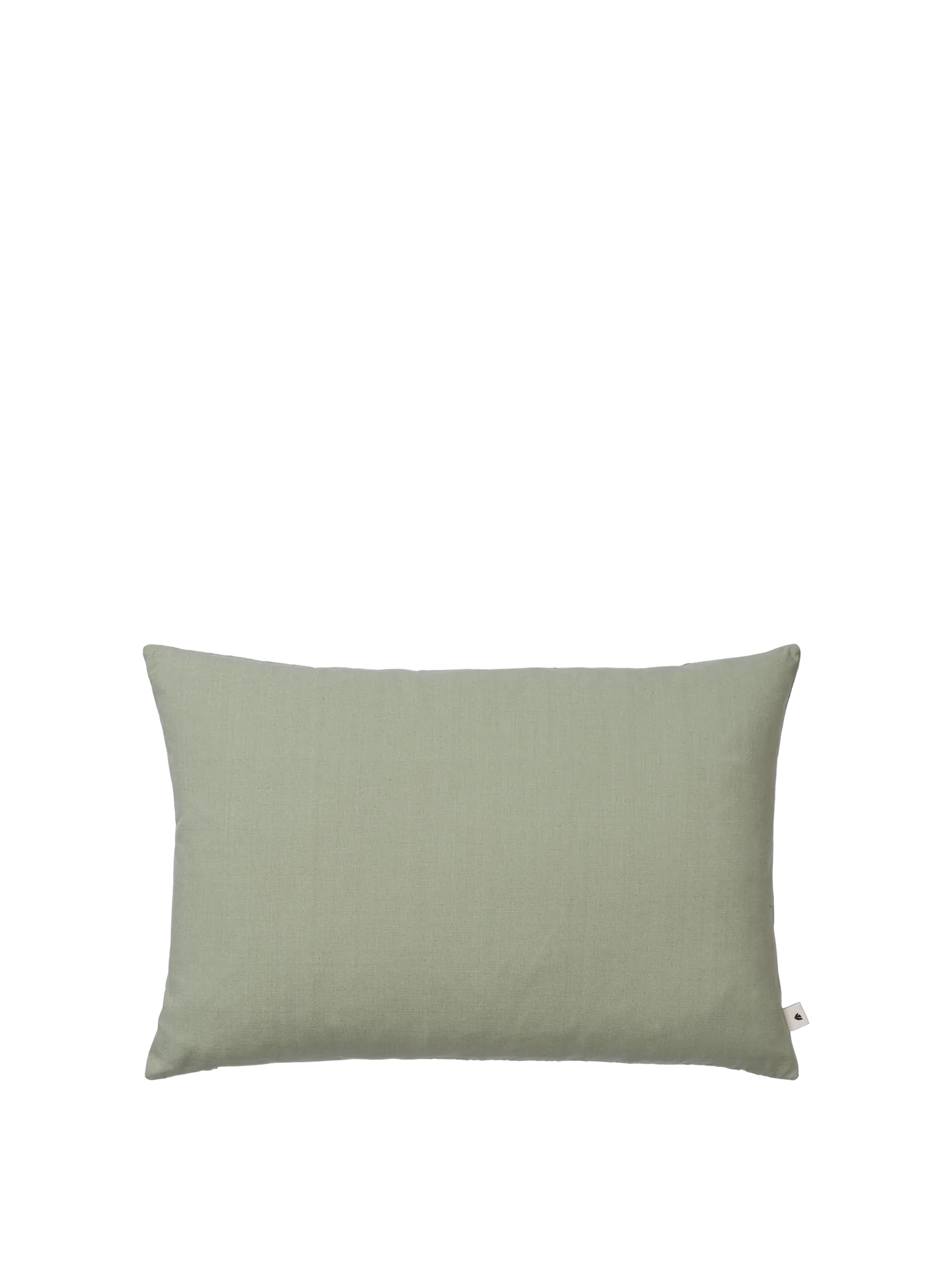 Sen Cushion - Rectangular - Tea Green