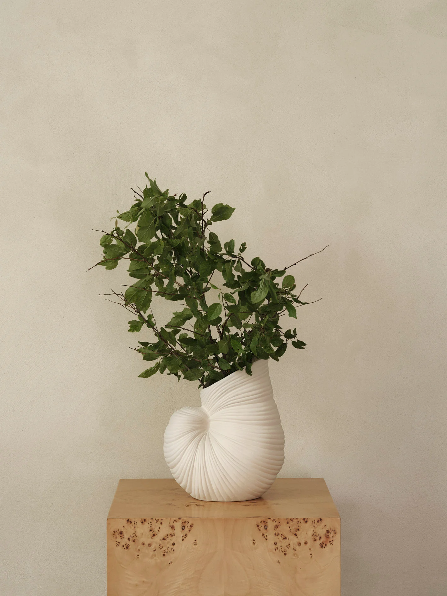Shell Vase - Off-White - Image 2