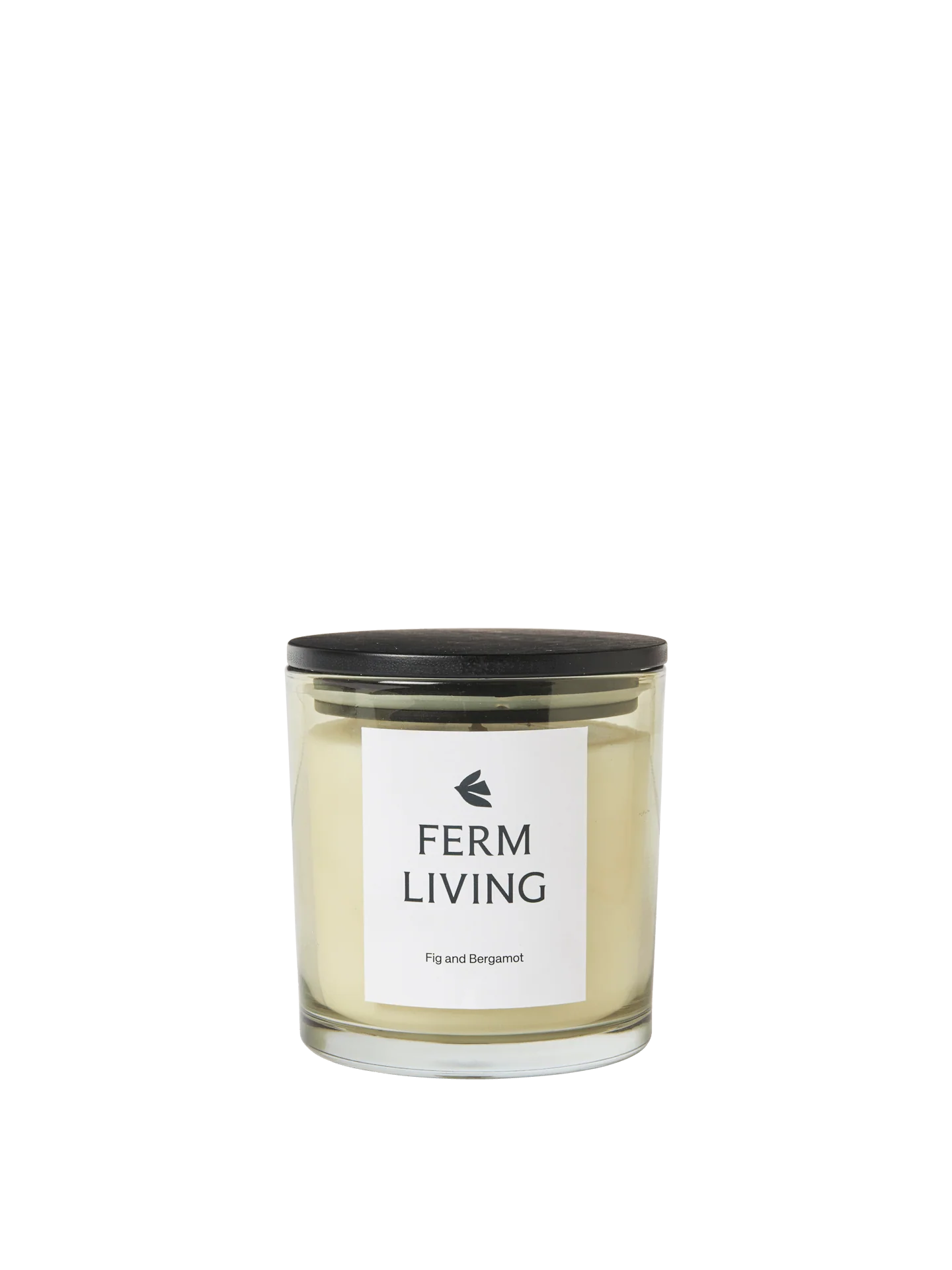 Vitto Scented Candle - Small - Light Celedon